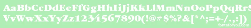 Шрифт ItcGaramondLtUltra – белые шрифты на зелёном фоне