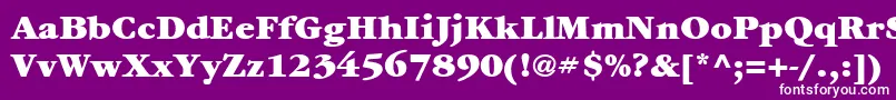Шрифт ItcGaramondLtUltra – белые шрифты на фиолетовом фоне