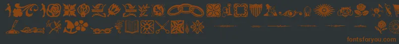 DavysDingbatsRegular Font – Brown Fonts on Black Background