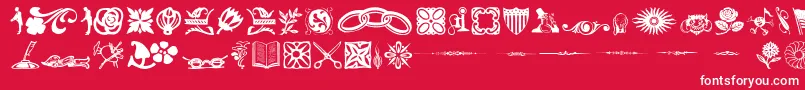 DavysDingbatsRegular Font – White Fonts on Red Background