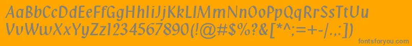 Klangmtstd Font – Gray Fonts on Orange Background