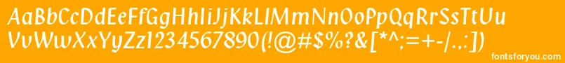Klangmtstd Font – White Fonts on Orange Background
