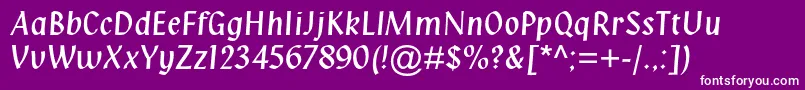Klangmtstd Font – White Fonts on Purple Background