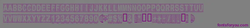 Secure16a Font – Purple Fonts on Gray Background