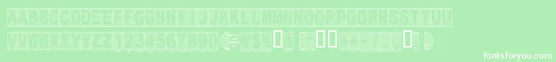 Secure16a Font – White Fonts on Green Background