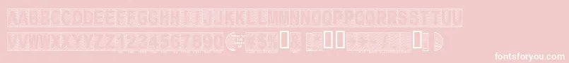 Secure16a Font – White Fonts on Pink Background