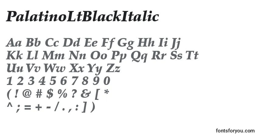 Schriftart PalatinoLtBlackItalic – Alphabet, Zahlen, spezielle Symbole