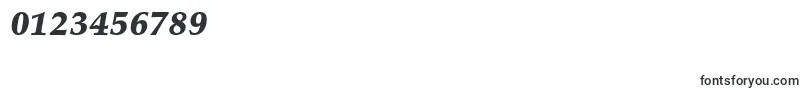 PalatinoLtBlackItalic Font – Fonts for Numbers and Digits