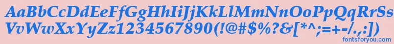 PalatinoLtBlackItalic Font – Blue Fonts on Pink Background