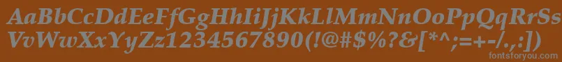 フォントPalatinoLtBlackItalic – 茶色の背景に灰色の文字