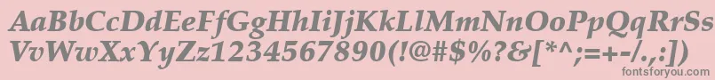 PalatinoLtBlackItalic Font – Gray Fonts on Pink Background