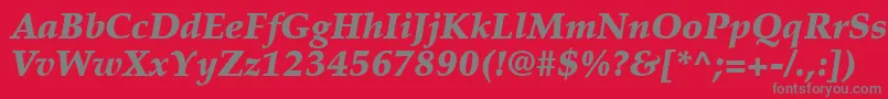 PalatinoLtBlackItalic Font – Gray Fonts on Red Background