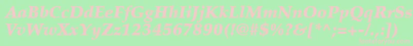 PalatinoLtBlackItalic Font – Pink Fonts on Green Background