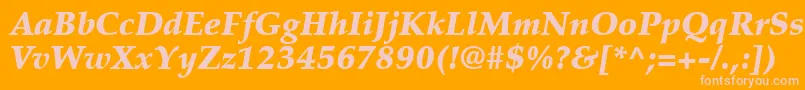 PalatinoLtBlackItalic Font – Pink Fonts on Orange Background
