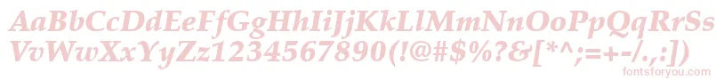 PalatinoLtBlackItalic Font – Pink Fonts