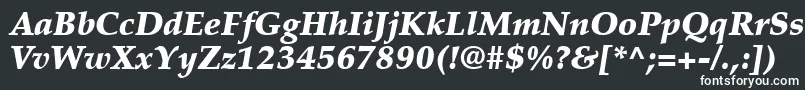 フォントPalatinoLtBlackItalic – 白い文字