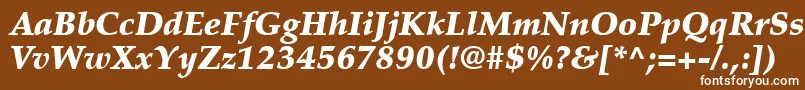 フォントPalatinoLtBlackItalic – 茶色の背景に白い文字