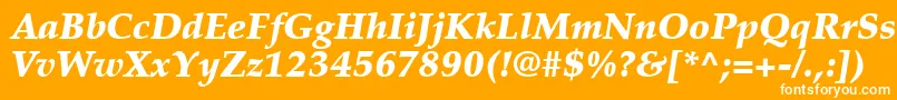 PalatinoLtBlackItalic Font – White Fonts on Orange Background