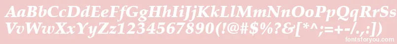 PalatinoLtBlackItalic Font – White Fonts on Pink Background