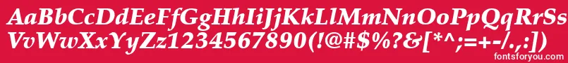 PalatinoLtBlackItalic Font – White Fonts on Red Background