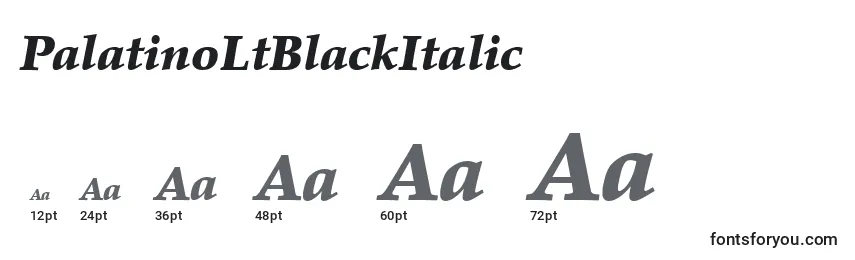 Размеры шрифта PalatinoLtBlackItalic