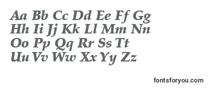 PalatinoLtBlackItalic-fontti