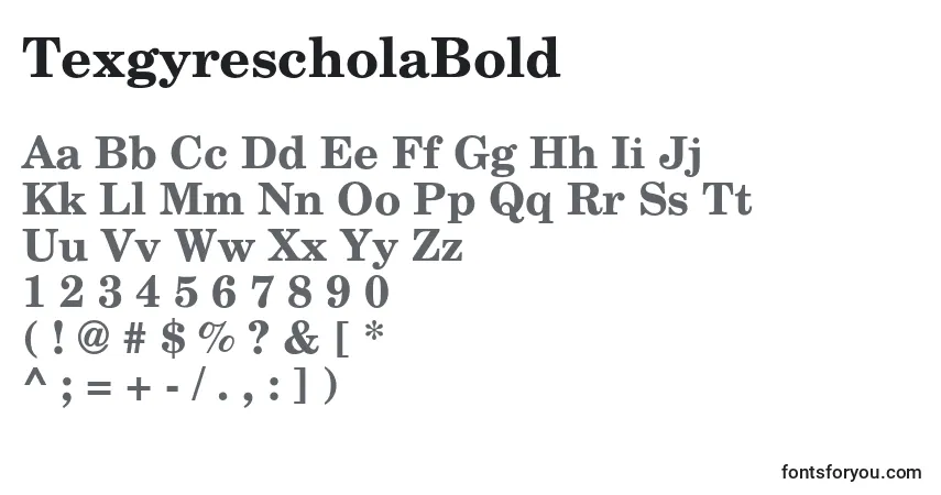 Schriftart TexgyrescholaBold – Alphabet, Zahlen, spezielle Symbole
