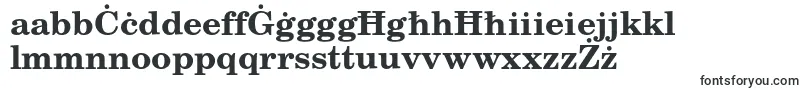 TexgyrescholaBold Font – Maltese Fonts