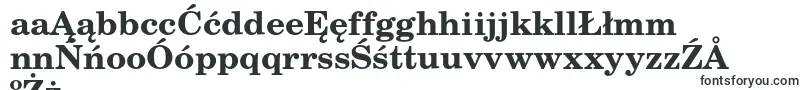 TexgyrescholaBold Font – Polish Fonts