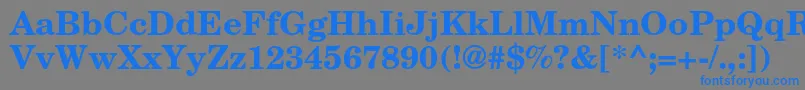 フォントTexgyrescholaBold – 灰色の背景に青い文字