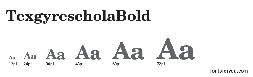 TexgyrescholaBold Font Sizes
