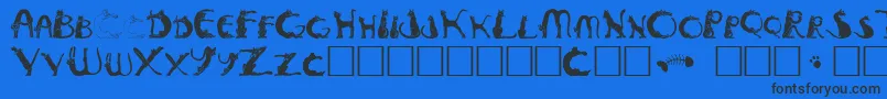 Pussyfoo-Schriftart – Schwarze Schriften auf blauem Hintergrund
