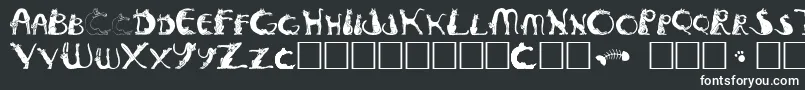 Pussyfoo Font – White Fonts on Black Background