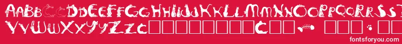 Pussyfoo Font – White Fonts on Red Background