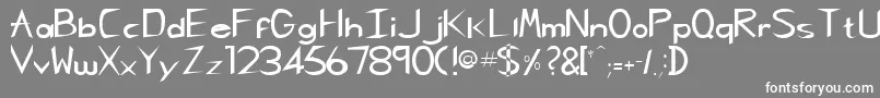 RebeccaRegular Font – White Fonts on Gray Background