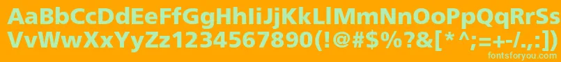 FrutigerLt75Black Font – Green Fonts on Orange Background