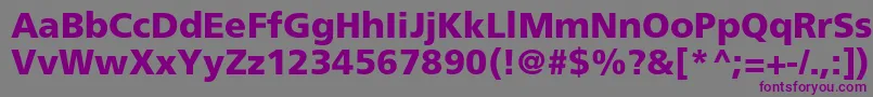 FrutigerLt75Black Font – Purple Fonts on Gray Background