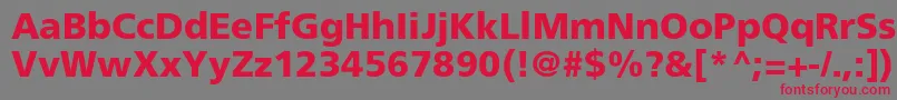 FrutigerLt75Black Font – Red Fonts on Gray Background