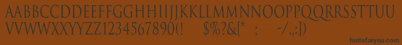 TrajanNormalCn Font – Black Fonts on Brown Background