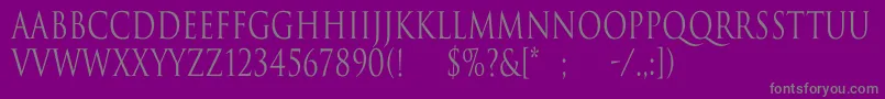 TrajanNormalCn Font – Gray Fonts on Purple Background
