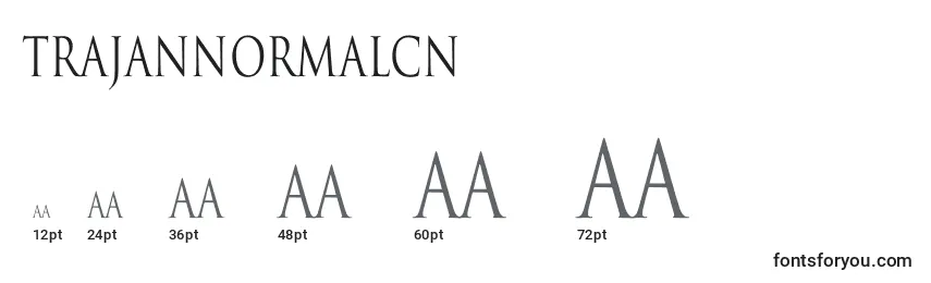 Размеры шрифта TrajanNormalCn