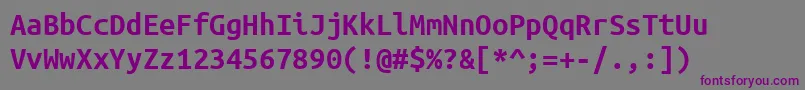 Шрифт UbuntuMonoBold – фиолетовые шрифты на сером фоне