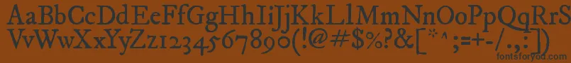 ImFellDwPicaRoman Font – Black Fonts on Brown Background