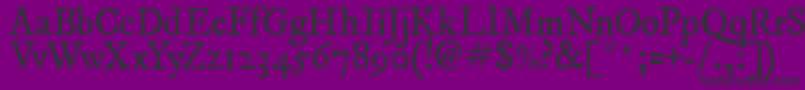 ImFellDwPicaRoman Font – Black Fonts on Purple Background