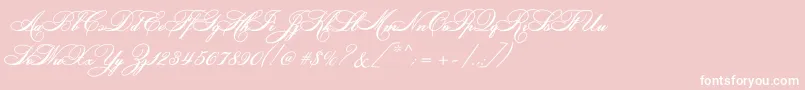 Bethoveenc-Schriftart – Weiße Schriften auf rosa Hintergrund