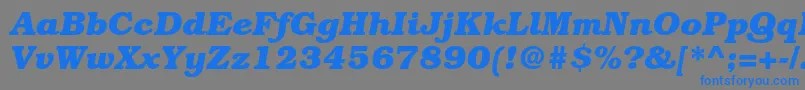 BookmanstdBolditalic Font – Blue Fonts on Gray Background