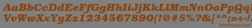 BookmanstdBolditalic Font – Brown Fonts on Gray Background