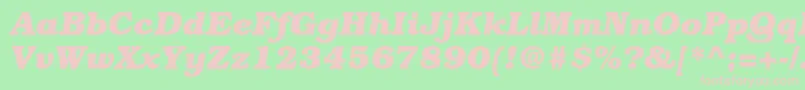 BookmanstdBolditalic Font – Pink Fonts on Green Background