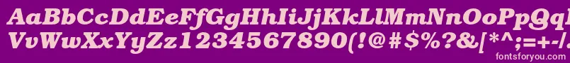 BookmanstdBolditalic Font – Pink Fonts on Purple Background