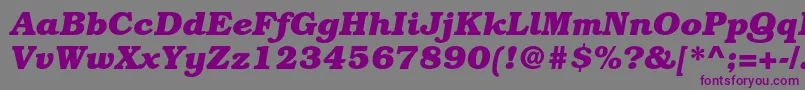 BookmanstdBolditalic Font – Purple Fonts on Gray Background